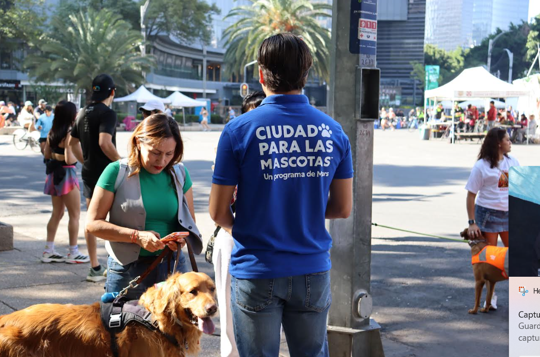Bienestar animal- experiencias pet-friendly