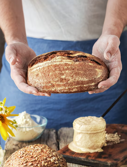 Tostas gourmet de España