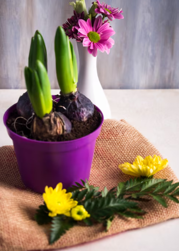 Plantas resistentes al calor