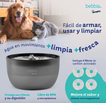 Cuidados para perros