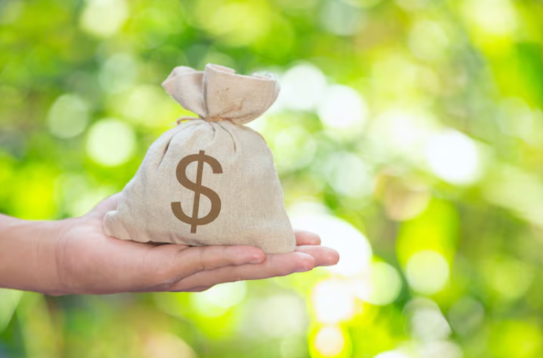 Abundancia económica