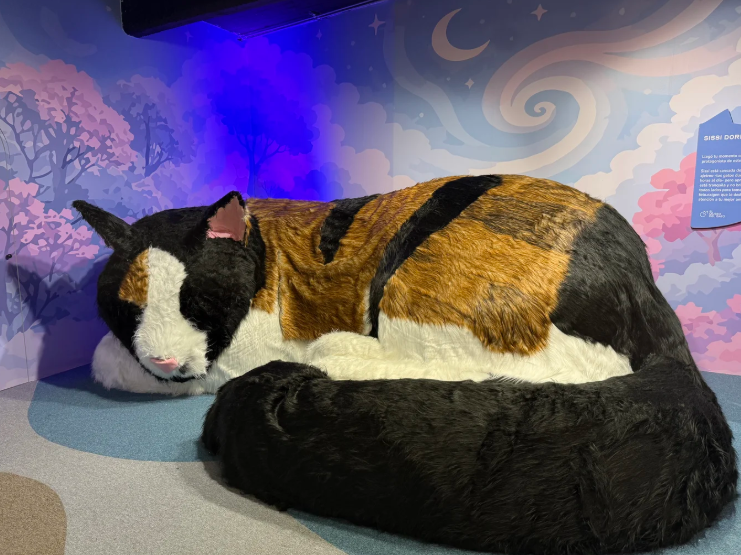 El Museo del Gato CDMX