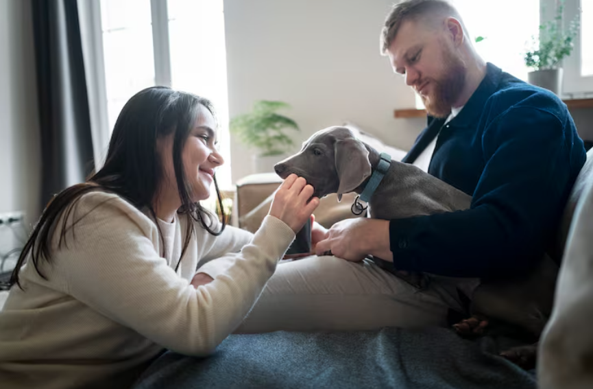 Espacios pet friendly