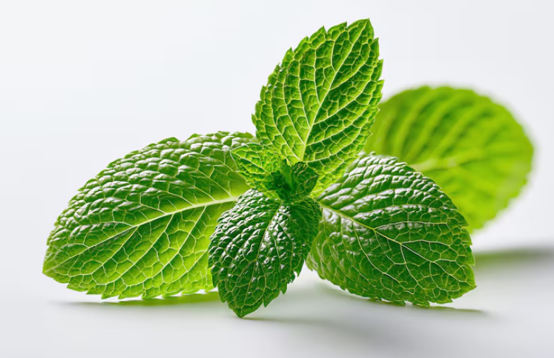 Hojas de menta fresca