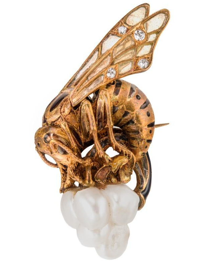 Avispón europeo (Vespa crabro) con perla, ca. 1900, Francia.