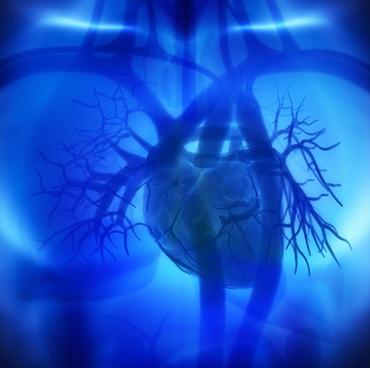 Las enfermedades del corazón son la principal causa de muerte, por lo que conocer los niveles de colesterol LDL es vital para prevenir infartos y accidentes cerebrovasculares.