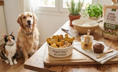 Repostería canina y felina